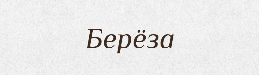 Берёза — Російсько-український академічний словник (А–П)