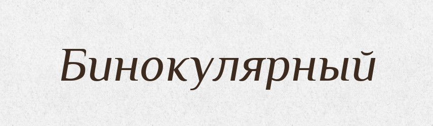 Бинокулярный — Російсько-український академічний словник (А–П)