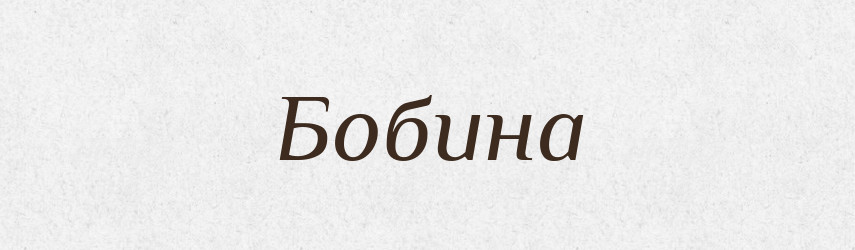 Бобина — Російсько-український академічний словник (А–П)