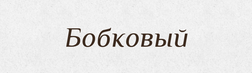 Бобковый — Російсько-український академічний словник (А–П)