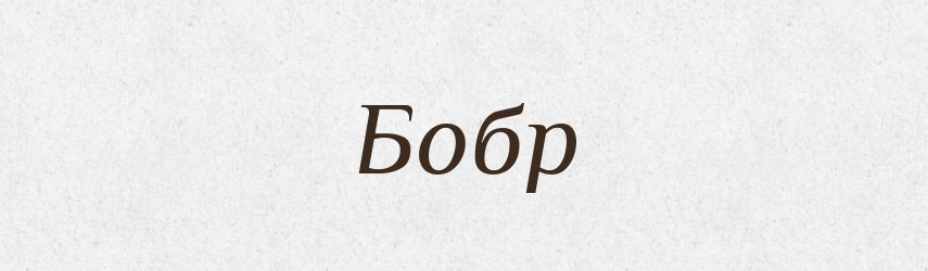 Бобр — Російсько-український академічний словник (А–П)