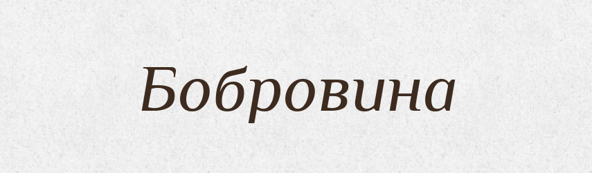 Бобровина — Російсько-український академічний словник (А–П)