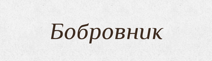 Бобровник — Російсько-український академічний словник (А–П)