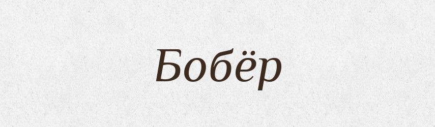 Бобёр — Російсько-український академічний словник (А–П)