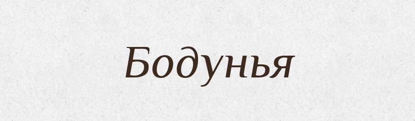 Бодунья — Російсько-український академічний словник (А–П)