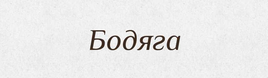 Бодяга — Російсько-український академічний словник (А–П)