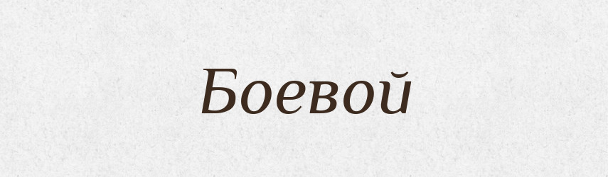 Боевой — Російсько-український академічний словник (А–П)