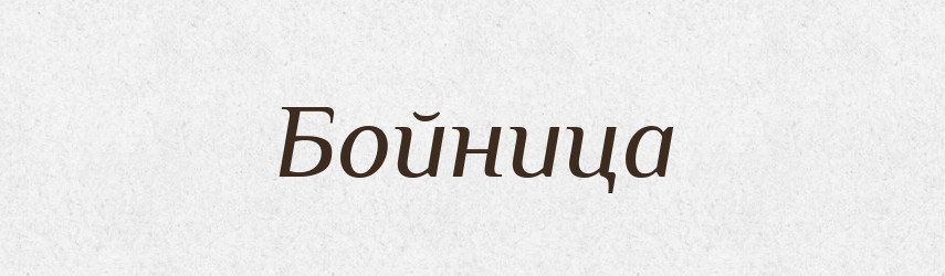 Бойница — Російсько-український академічний словник (А–П)