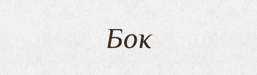 Бок — Російсько-український академічний словник (А–П)