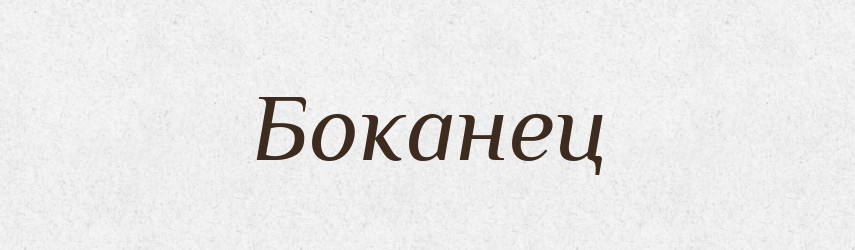 Боканец — Російсько-український академічний словник (А–П)