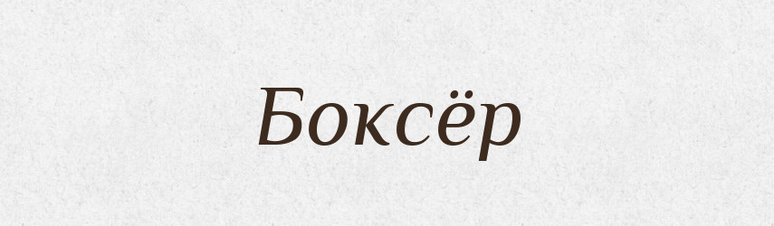 Боксёр — Російсько-український академічний словник (А–П)