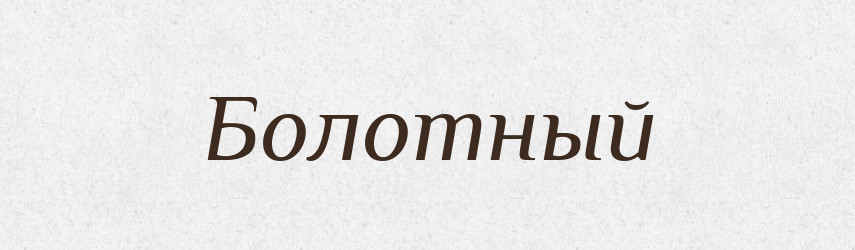 Болотный — Російсько-український академічний словник (А–П)