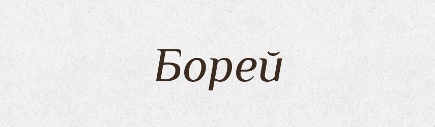 Борей — Російсько-український академічний словник (А–П)