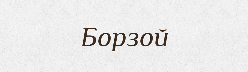 Борзой — Російсько-український академічний словник (А–П)
