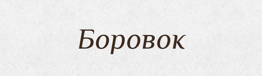 Боровок — Російсько-український академічний словник (А–П)