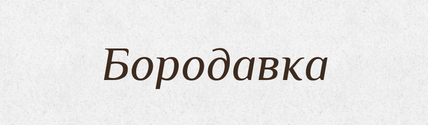 Бородавка — Російсько-український академічний словник (А–П)
