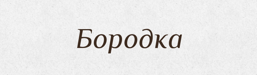 Бородка — Російсько-український академічний словник (А–П)
