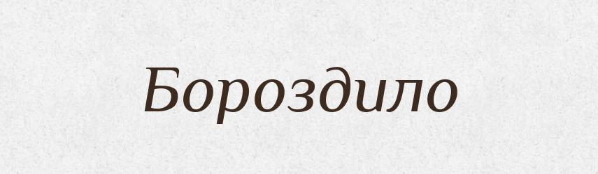 Бороздило — Російсько-український академічний словник (А–П)