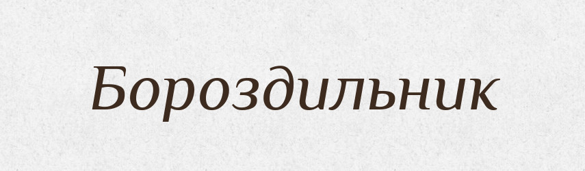 Бороздильник — Російсько-український академічний словник (А–П)