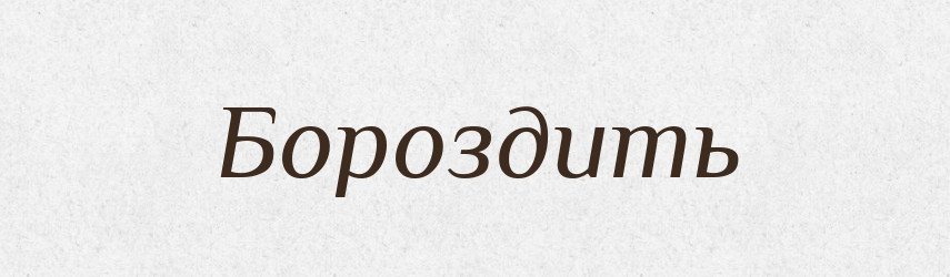 Бороздить — Російсько-український академічний словник (А–П)
