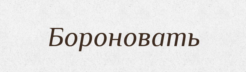 Бороновать — Російсько-український академічний словник (А–П)