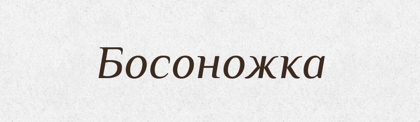 Босоножка — Російсько-український академічний словник (А–П)
