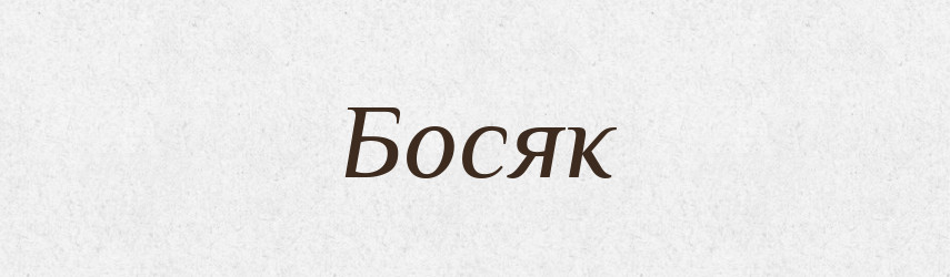 Босяк — Російсько-український академічний словник (А–П)