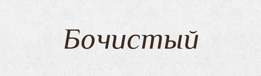 Бочистый — Російсько-український академічний словник (А–П)