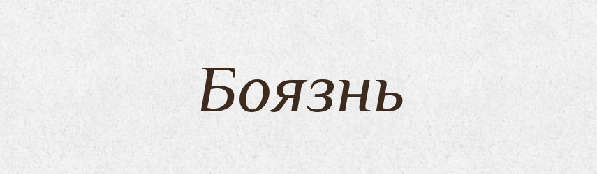 Боязнь — Російсько-український академічний словник (А–П)