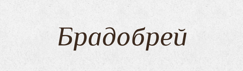 Брадобрей — Російсько-український академічний словник (А–П)