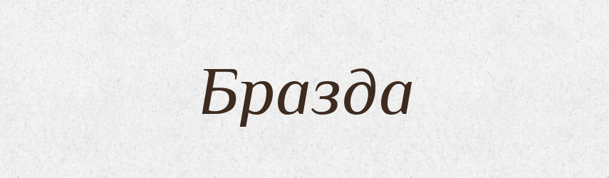 Бразда — Російсько-український академічний словник (А–П)