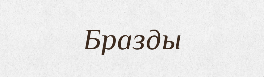 Бразды — Російсько-український академічний словник (А–П)