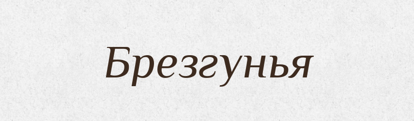 Брезгунья — Російсько-український академічний словник (А–П)