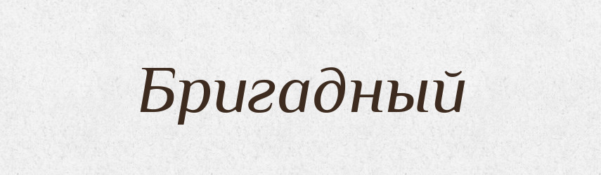 Бригадный — Російсько-український академічний словник (А–П)