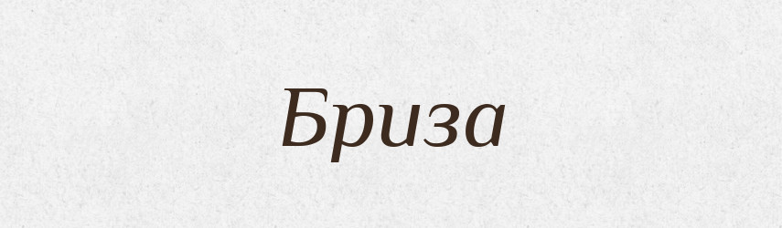 Бриза — Російсько-український академічний словник (А–П)