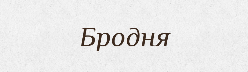Бродня — Російсько-український академічний словник (А–П)