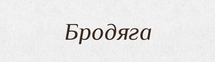 Бродяга — Російсько-український академічний словник (А–П)
