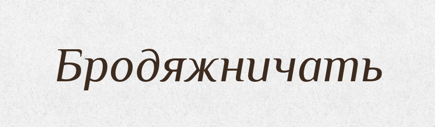 Бродяжничать — Російсько-український академічний словник (А–П)