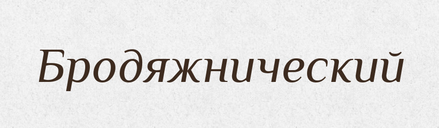 Бродяжнический — Російсько-український академічний словник (А–П)