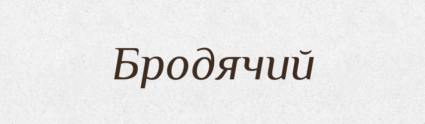 Бродячий — Російсько-український академічний словник (А–П)