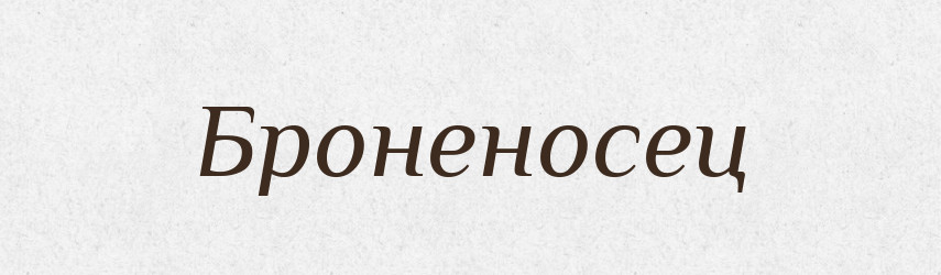 Броненосец — Російсько-український академічний словник (А–П)