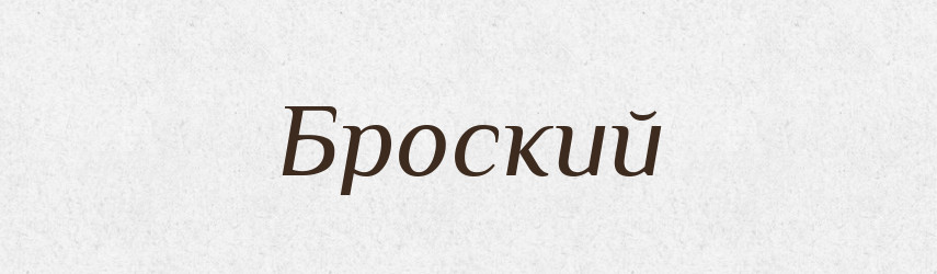 Броский — Російсько-український академічний словник (А–П)