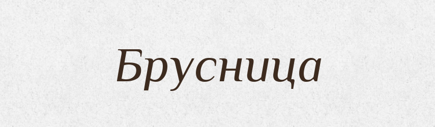 Брусница — Російсько-український академічний словник (А–П)