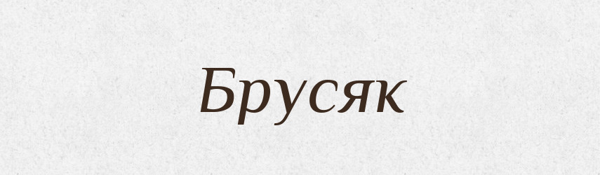 Брусяк — Російсько-український академічний словник (А–П)