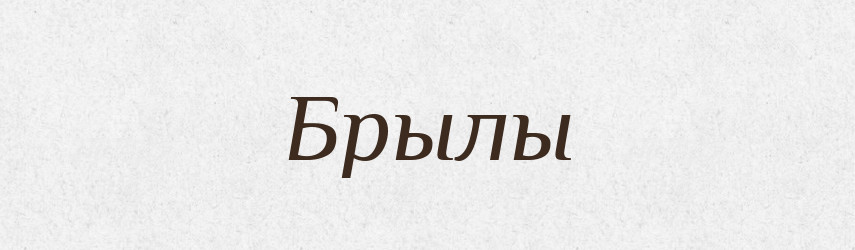 Брылы — Російсько-український академічний словник (А–П)