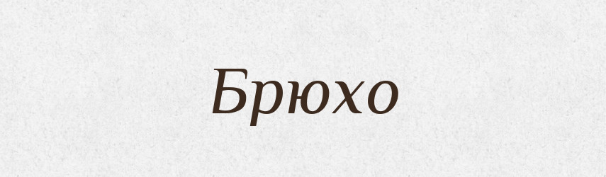 Брюхо — Російсько-український академічний словник (А–П)