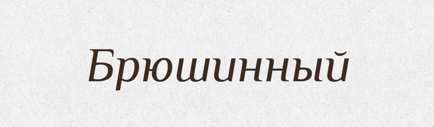 Брюшинный — Російсько-український академічний словник (А–П)
