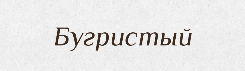 Бугристый — Російсько-український академічний словник (А–П)