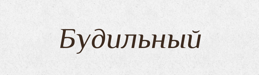 Будильный — Російсько-український академічний словник (А–П)