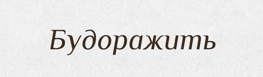 Будоражить — Російсько-український академічний словник (А–П)